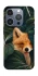 Чехол на Apple iPhone 16 Pro Fox фото 1 из 1