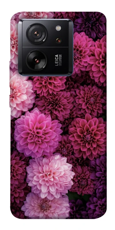 Чохол на Xiaomi 13T Garden1 фото 1 з 1