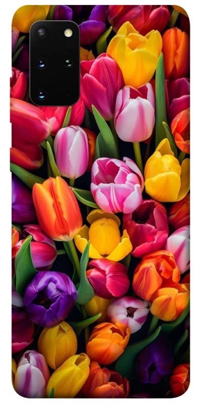 Чехол на Samsung Galaxy S20+ Flowers v30 фото 1 из 1