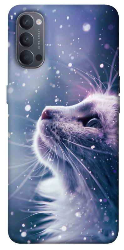 Чехол на Oppo Reno 4 Snow cat фото 1 из 1