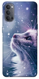 Чехол на Oppo Reno 4 Snow cat фото 1 из 1