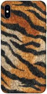 Чохол на Apple iPhone X (5.8") Tiger фото 1 з 1