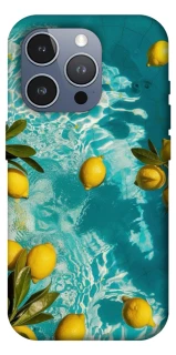 Чохол на Apple iPhone 16 Pro Max Lemon фото 1 з 1