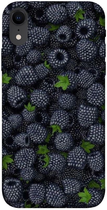 Чохол на Apple iPhone XR (6.1") Fresh фото 1 з 1