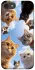 Чохол на Apple iPhone 7 / 8 (4.7") Cats фото 1 з 1