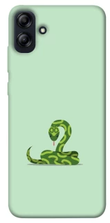 Чохол на Samsung Galaxy A04e Змійка фото 1 з 1