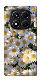 Чехол на Xiaomi Redmi Note 14 Pro 5G Поле ромашек фото 1 из 1