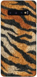 Чехол на Samsung Galaxy S10+ Tiger фото 1 из 1