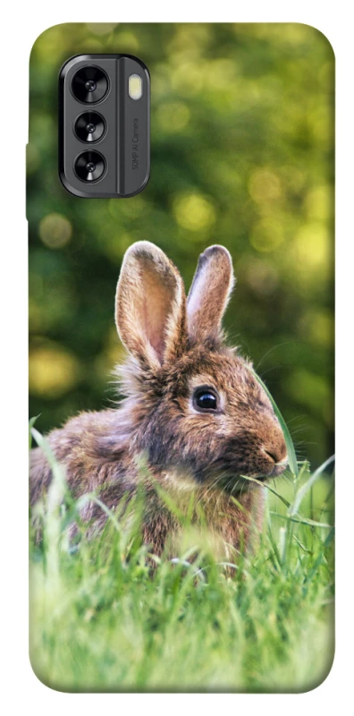 Чохол на Nokia G60 Кролики фото 1 з 1