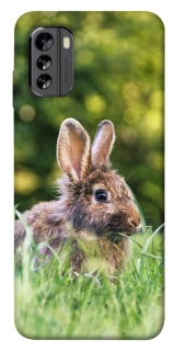 Чохол на Nokia G60 Кролики фото 1 з 1