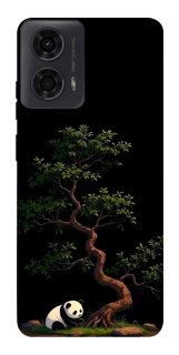 Чохол на Motorola Moto G04 Panda and tree фото 1 з 1