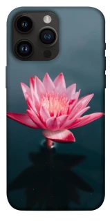 Чехол на Apple iPhone 14 Pro Max (6.7") Лотос фото 1 из 1