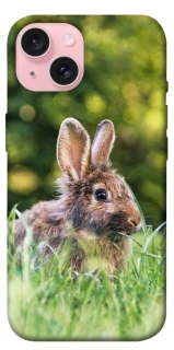 Чехол на Apple iPhone 15 (6.1") Кролики фото 1 из 1
