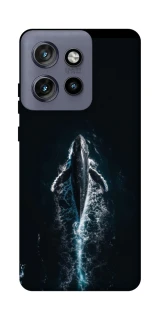 Чехол на Motorola Edge 50 Neo Whale фото 1 из 1