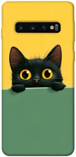 Чехол на Samsung Galaxy S10 Black cat v2 фото 1 из 1