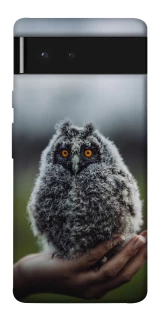 Чохол на Google Pixel 6 Совеня фото 1 з 1