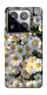 Чехол на Xiaomi 15 Pro Поле ромашек фото 1 из 1