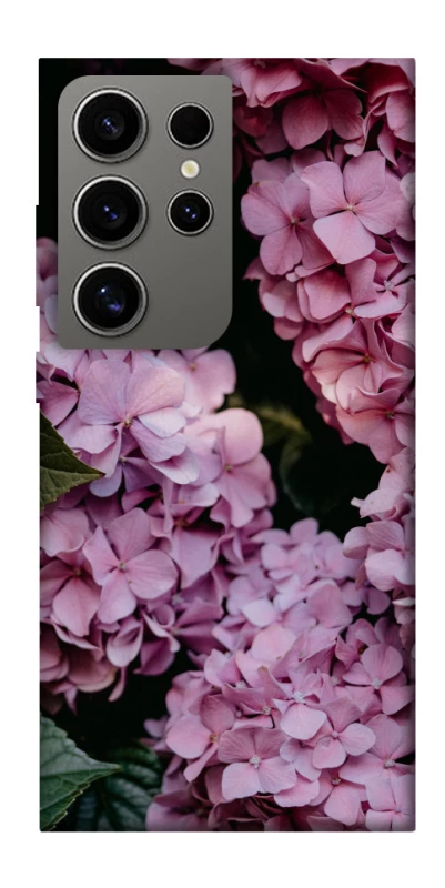 Чехол на Samsung Galaxy S24 Ultra Розовые гартензии фото 1 из 1