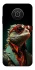 Чохол на Nokia X10 / X20 Ігуана фото 1 з 1