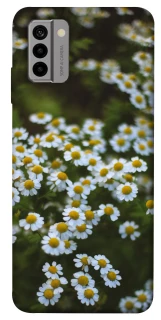 Чехол на Nokia G22 Ромашки v13 фото 1 из 1