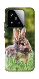 Чехол на Xiaomi 15 Кролики фото 1 из 1