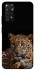 Чохол на Xiaomi Redmi Note 11 (Global) / Note 11S Leopard v4 фото 1 з 1