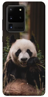 Чохол на Samsung Galaxy S20 Ultra Панда фото 1 з 1