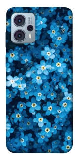 Чохол на Motorola Moto G23 Flowers v6 фото 1 Чохол на Motorola Moto G23 Flowers v6 фото 1 з 1