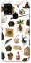 Чехол на Samsung Galaxy M31 Harry Potter mood фото 1 из 1