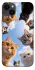 Чохол на Apple iPhone 14 Plus (6.7") Cats фото 1 з 1