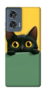 Чохол на Motorola Edge 50 Black cat v2 фото 1 з 1