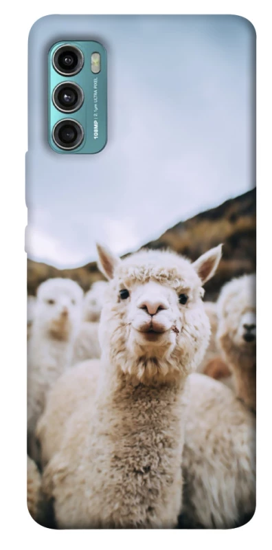 Чохол на Motorola Moto G60 Лама фото 1 з 1