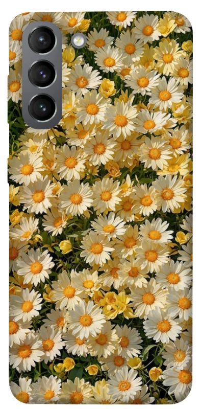 Чохол на Samsung Galaxy S21 Camomile фото 1 з 1