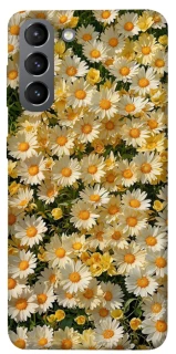 Чохол на Samsung Galaxy S21 Camomile фото 1 з 1