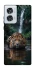 Чохол на Motorola Edge 50 Fusion Leopard in water фото 1 з 1