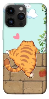 Чохол на Apple iPhone 14 Pro Max (6.7") Cat the meow фото 1 з 1
