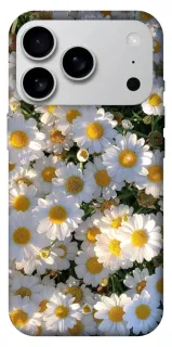 Чехол на Apple iPhone 18 Pro Max Поле ромашек фото 1 из 2