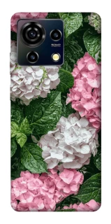 Чехол на ZTE Blade V50 Vita Secret Garden фото 1 из 1