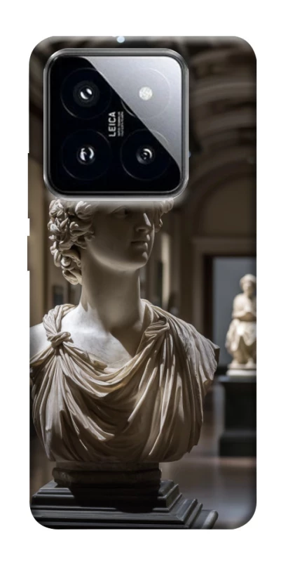 Чехол на Xiaomi 14 Pro statue фото 1 из 1