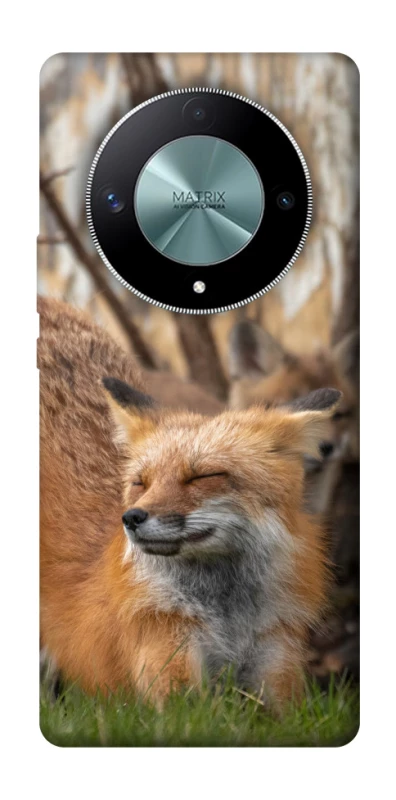 Чехол на Huawei Magic6 Lite Лиса фото 1 из 1