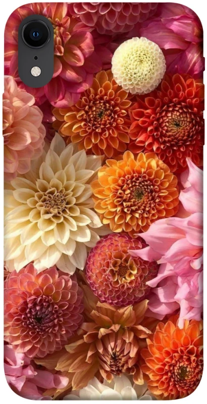 Чохол на Apple iPhone XR (6.1") Bouquet фото 1 з 1