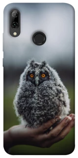 Чохол на Huawei P Smart (2019) Совеня фото 1 з 1