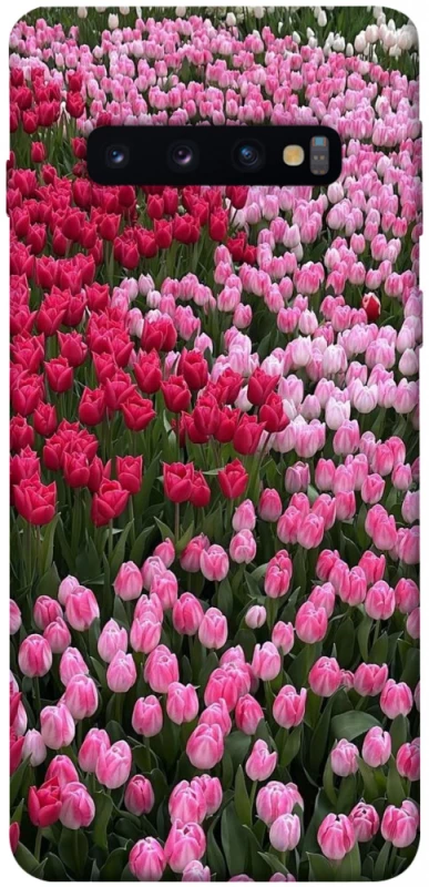 Чохол на Samsung Galaxy S10 Flowers v9 фото 1 з 1