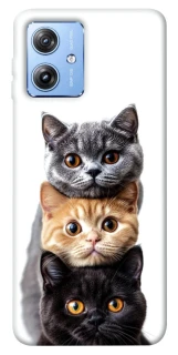 Чохол на Motorola Moto G84 Гарні котики фото 1 з 1