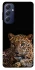 Чохол на Samsung Galaxy M54 5G Leopard v4 фото 1 з 1