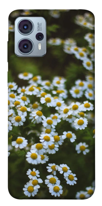 Чехол на Motorola Moto G23 Ромашки v13 фото 1 из 1