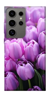 Чехол на Samsung Galaxy S24 Ultra Фиолетовые тюльпаны фото 1 из 1