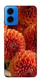 Чехол на Motorola Moto G45 Flower1 фото 1 из 1