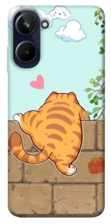 Чохол на Realme 10 4G Cat the meow фото 1 з 1