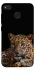Чохол на Xiaomi Redmi 4X Leopard v4 фото 1 з 1